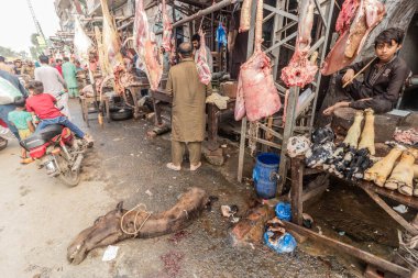 LAHORE, PAKISTAN - 22, 2023: Shahdara Bagh Mahallesi, Pakistan