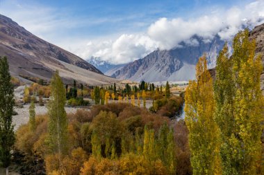 Pakistan 'ın Phander Vadisi' ndeki Gilgit nehrinin sonbahar manzarası