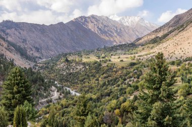 Rupal Vadisi 'ndeki Rupal köyü, Pakistan' ın Gilgit-Baltistan bölgesi.