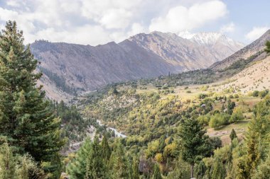 Rupal Vadisi 'ndeki Rupal köyü, Pakistan' ın Gilgit-Baltistan bölgesi.