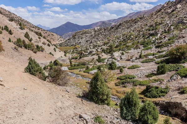 Pakistan 'ın Gilgit-Baltistan bölgesinde Nanga Parbat Dağı' nın altındaki Herrligkoffer Ana Kampı 'na giden patika.