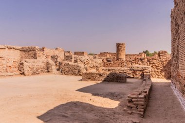 Mohenjo Daro harabeleri, Sindh bölgesi, Pakistan