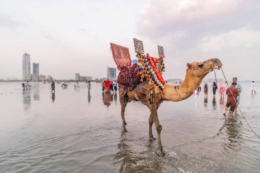 KARACHI, PAKISTAN - 31 Ekim 2023: Pakistan, Karaçi 'deki Clifton Sahili' nde deve sürüşleri