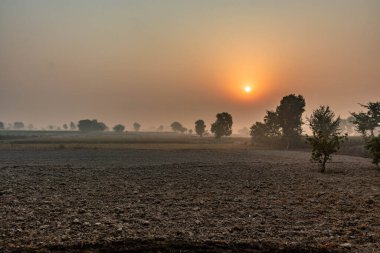 Pakistan, Punjab eyaletinin Vehari yakınlarındaki tarlaların üzerinde gün doğumu