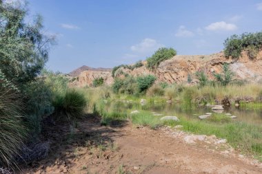 Pakistan 'ın Sindh bölgesindeki Ranikot Kalesi' nde küçük bir dere.