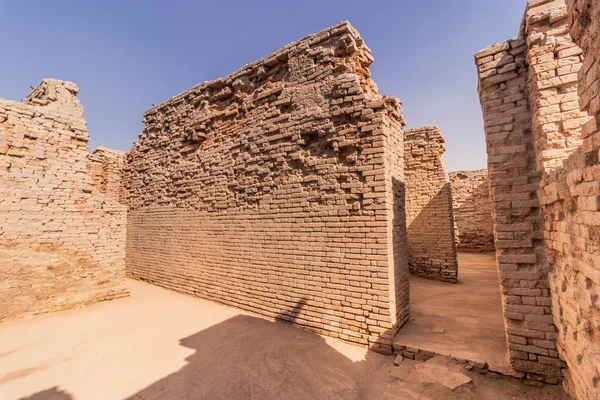 Mohenjo Daro harabeleri, Sindh bölgesi, Pakistan