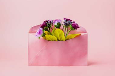 Sevgililer günü ve aşk konsepti için pembe arka planda pembe zarfta suni mor gül buketi 