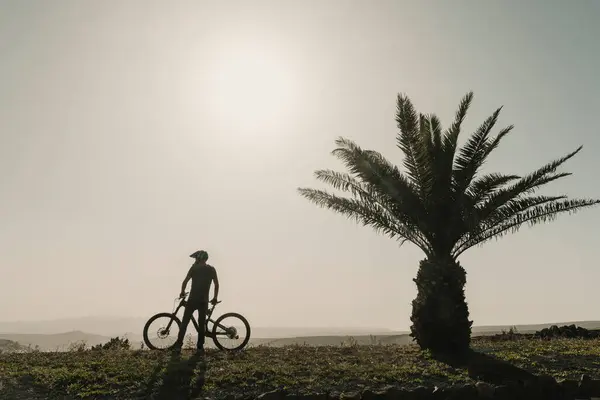 Spain Lanzarote Mountainbiker Trip Next Palm Tree — Stock Photo, Image