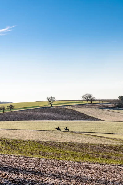 Tyskland Baden Wuerttemberg Uissigheim Fältlandskap — Stockfoto