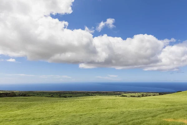 Estados Unidos Hawái Isla Grande Vista Sobre Montaña Kohala — Foto de Stock