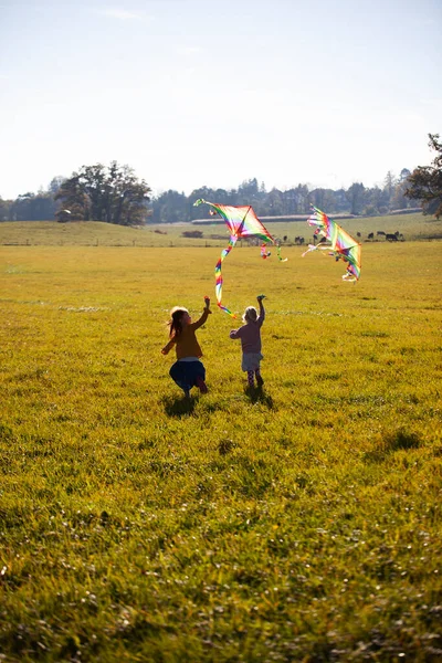 Deux Filles Courent Dans Champ Avec Cerf Volant — Photo