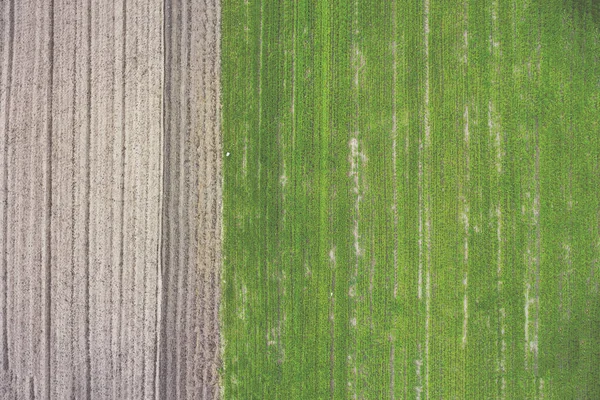 Germany Bavaria Aerial View Field — Stock Photo, Image