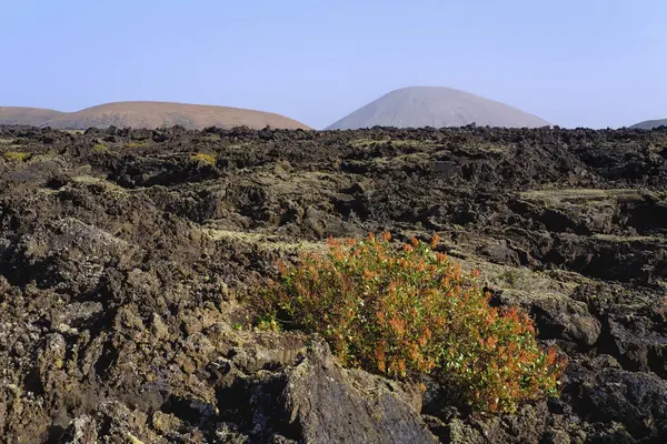 España Islas Canarias Lanzarote Parque Natural Los Volcanes Campo Lava — Foto de Stock