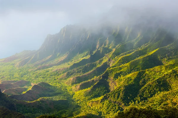 Usa Hawaii Kalalau Med Utsikt Över Napalis Kust Från Kokee — Stockfoto