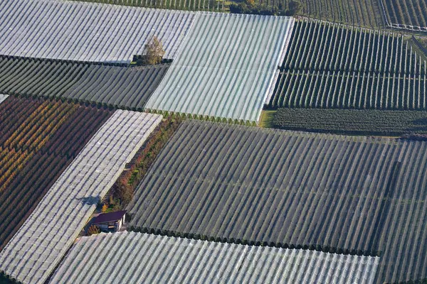 Németország Aerial View Orchards Közelében Ailingen — Stock Fotó