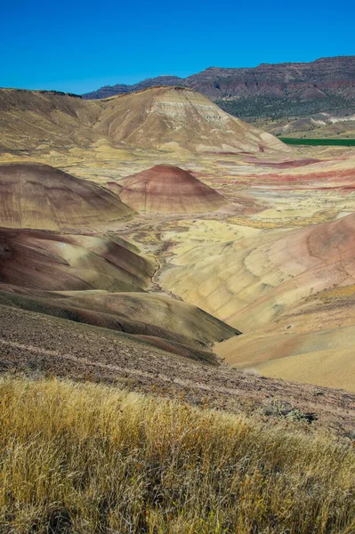 Abd Oregon John Day Fosil Yataklar Ulusal Anıt Boyalı Tepeler — Stok fotoğraf