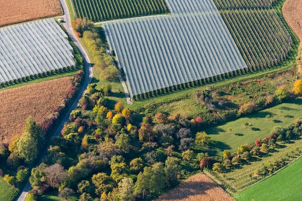 Niemcy Badenia Wirtembergia Jezioro Bodeńskie Markdorf Sady Obrzeżach Widok Lotu — Zdjęcie stockowe