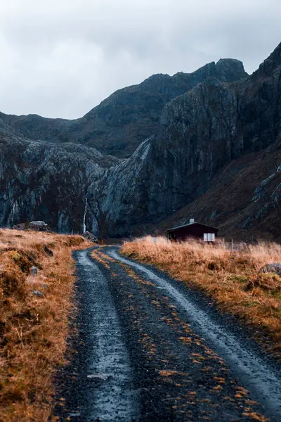 Norveç Lofoten Adaları Yumurta — Stok fotoğraf