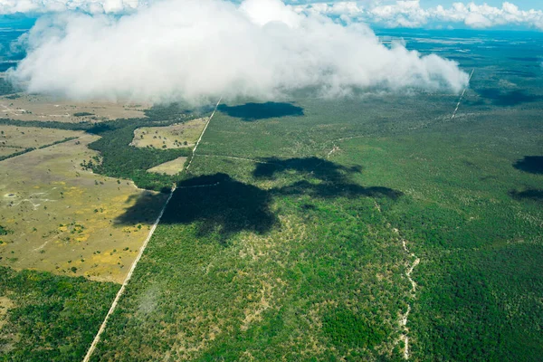 Luftfoto Vej Gennem Skoven Queensland Australien - Stock-foto