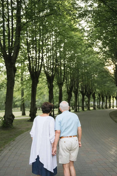 Vue Arrière Couple Personnes Âgées Promenant Main Dans Main Dans — Photo