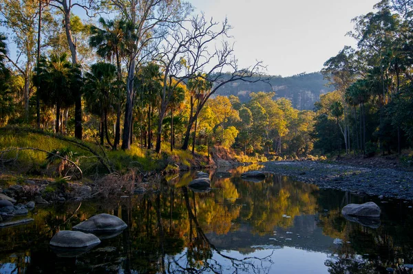 River Flowing Carnavaron Gorge Queensland Australia — Stock Photo, Image