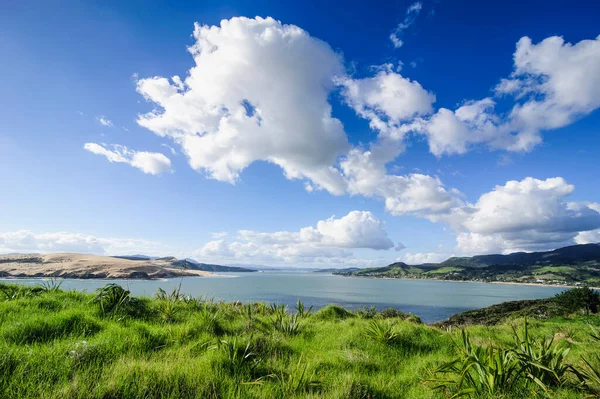 Pohled Arai Uru Rekreační Rezervace Jižní Konec Přístavu Hokianga Severní — Stock fotografie