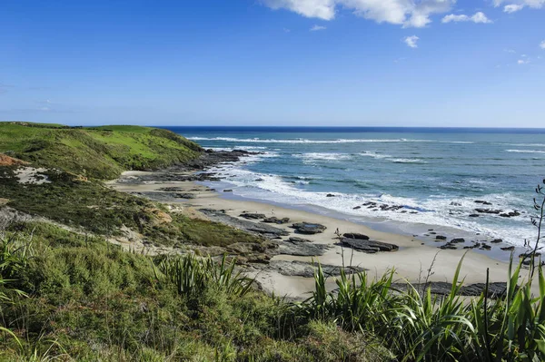 アライ レクリエーション保護区 ホキアンガ港 北西海岸 ニュージーランドの美しい海岸線 — ストック写真