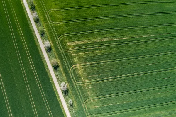 Abstraktní Letecký Pohled Venkovskou Silnici Lemovanou Stromy Zelenými Zemědělskými Poli — Stock fotografie