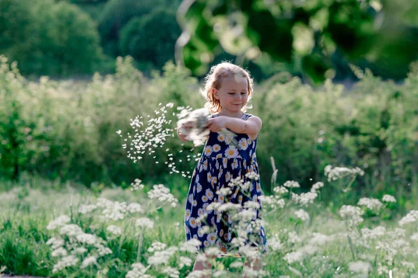 Porträt Eines Lächelnden Kleinen Mädchens Das Mit Pusteblume Spielt — Stockfoto