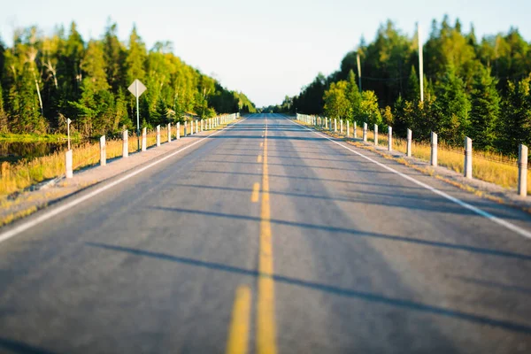 Empty Road Algonquin Provincial Park Ontario Canada — Stock Photo, Image