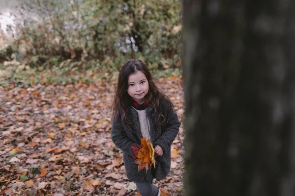 Portrait Petite Fille Ramassant Des Feuilles Automne — Photo