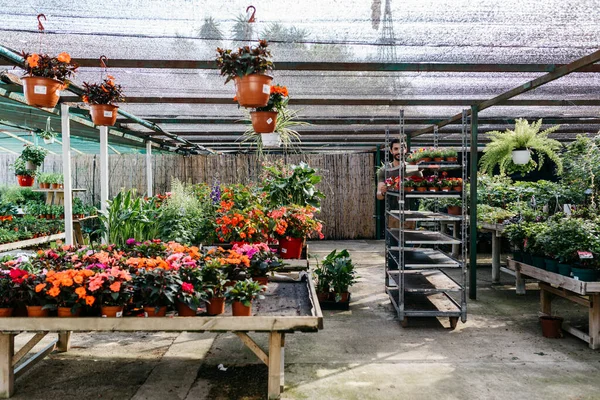 Trabalhador Centro Jardim Empurrando Carrinho Com Plantas — Fotografia de Stock