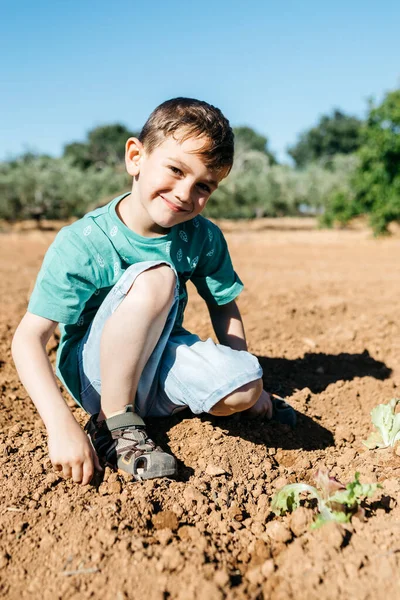 Espanha Tarragona Menino Olhando Para Câmera Depois Plantar Alface Jardim — Fotografia de Stock