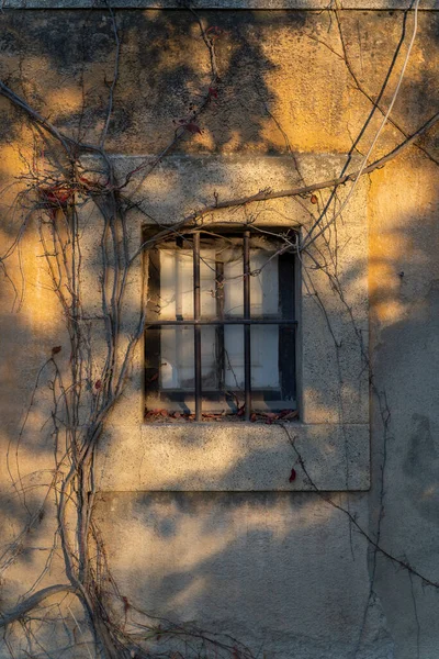 Maison Avant Avec Fenêtre Barrée Automne — Photo