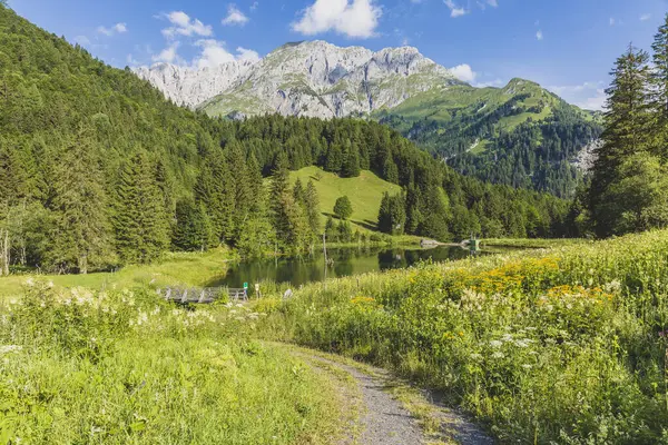 Áustria Caríntia Vista Panorâmica Lago Vale Arborizado Alpes Cárnicos Verão — Fotografia de Stock