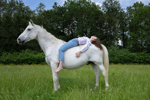 フィールドに馬を持つ若い女性は — ストック写真