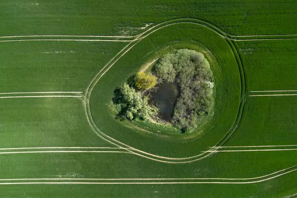 Германия Мекленбург Западная Померания Весной Обширном Пшеничном Поле Вид Воздуха — стоковое фото