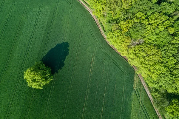 Alemanha Baviera Vista Aérea Estrada Rural Que Estende Longo Borda — Fotografia de Stock