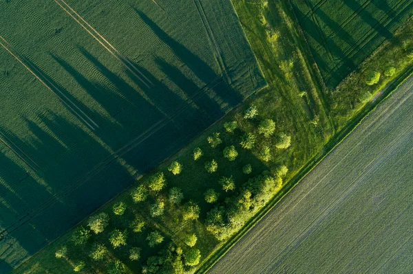 Germany Bavaria Aerial View Green Countryside Fields Spring — Stock Photo, Image