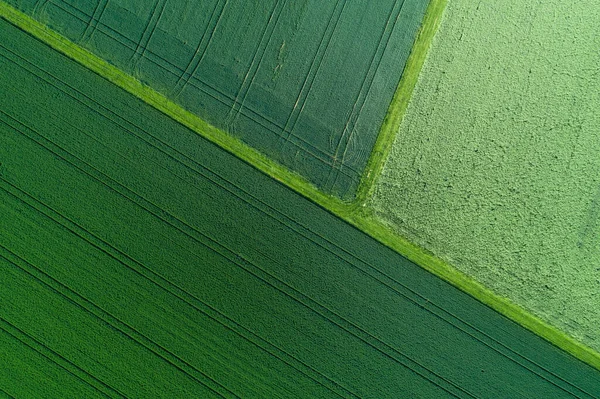 Deutschland Bayern Luftaufnahme Grüner Felder Frühling — Stockfoto