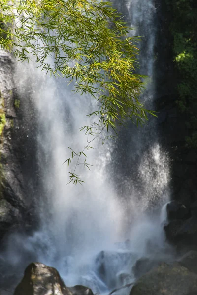 Vista Trafalgar Falls Salpicando Rocas Parque Nacional Morne Trois Pitons — Foto de Stock