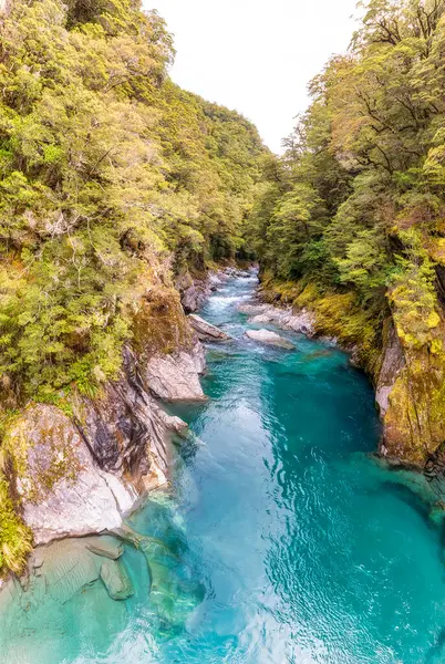 Makarora River South Island New Zealand — Stock Photo, Image