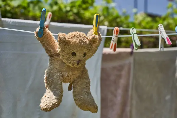 泰迪熊挂在晾衣绳上 — 图库照片