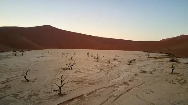 Deadvlei Nascer Sol Sossusvlei Deserto Namíbia Namíbia — Fotografia de Stock