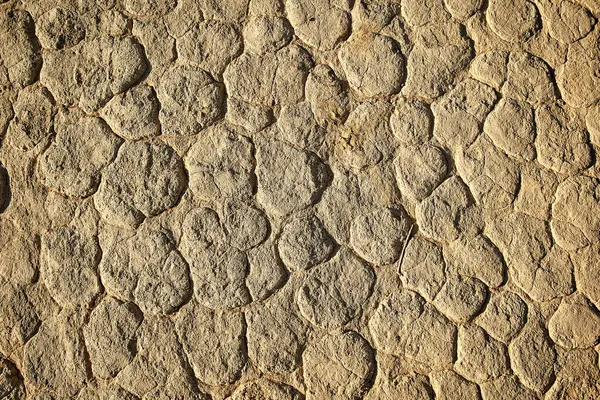 Detailní Záběr Solné Plochy Poušti Deadvlei Sossusvlei Namib Namibie — Stock fotografie