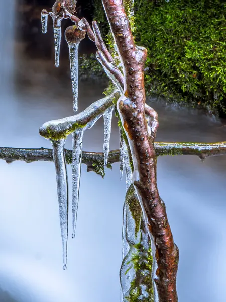 Tyskland Bayern Istäckta Grenar Mot Strömmande Vattendrag — Stockfoto