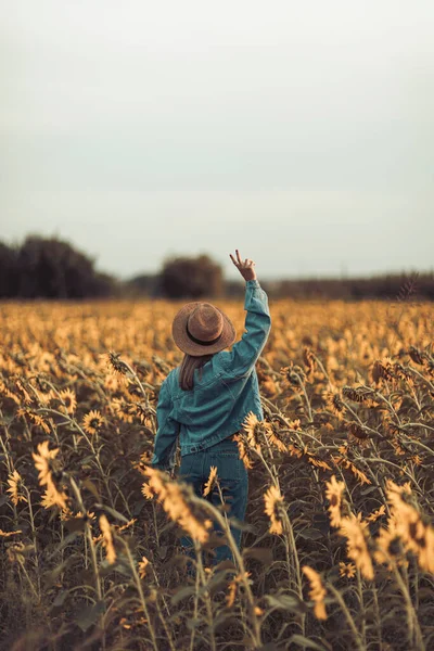 ひまわり畑で帽子とジーンズのジャケットを着た若い女性の背面図 平和サイン — ストック写真