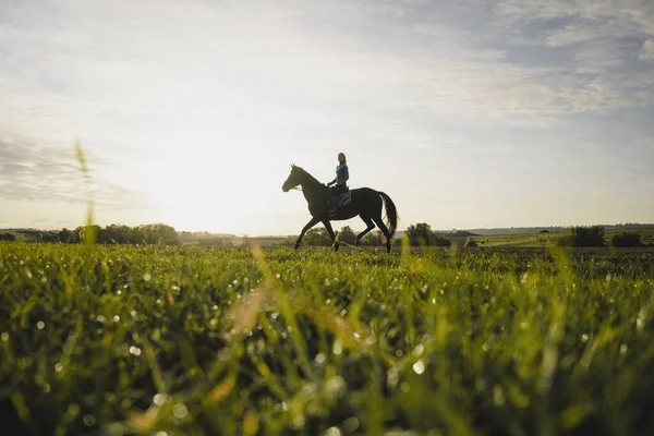 Woman Riding Horse Field Countryside Sunset — Stock Photo, Image