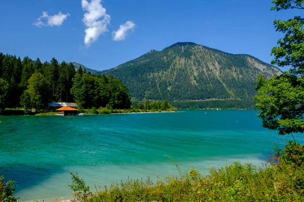 Germania Alta Baviera Baviera Walchensee Con Herzogstand Nella Giornata Sole — Foto Stock