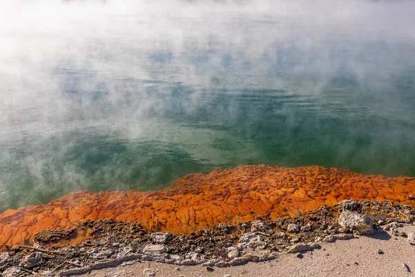 Piscine Champagne Pays Des Merveilles Thermales Wai Tapu Zone Volcanique — Photo